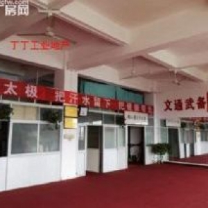 出租高新区新型工业园5层标准厂房出租