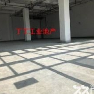 高新区西部大道一层260平400平800平厂房丰泽科技园