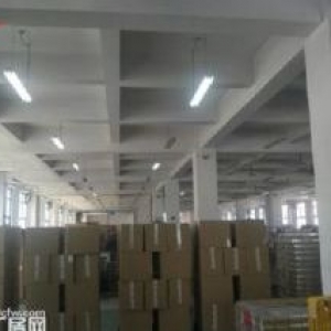 高新  独栋8000框架科研厂房出租