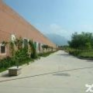 集贤工业园区 新建厂房配套齐全出租(非中介)