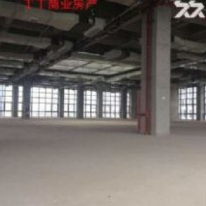 高新独栋5900框架试验检测厂房出租