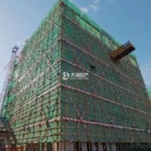 高新区硬科技园区 独栋厂房 2000