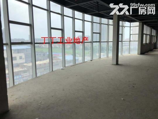 出租高新区西部大道附近正规工业厂房227平-图3