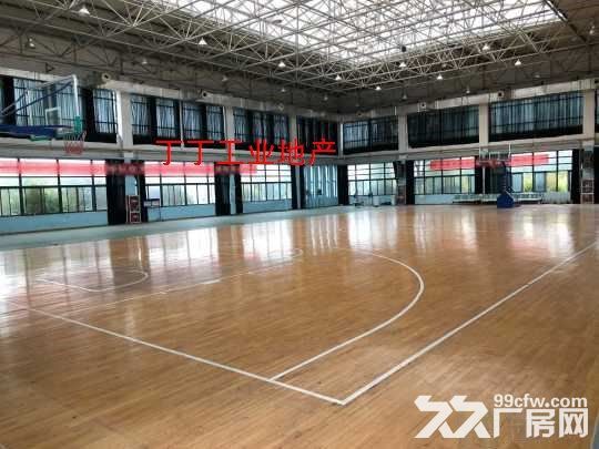 西安150亩学校招租带操场宿舍食堂-图2