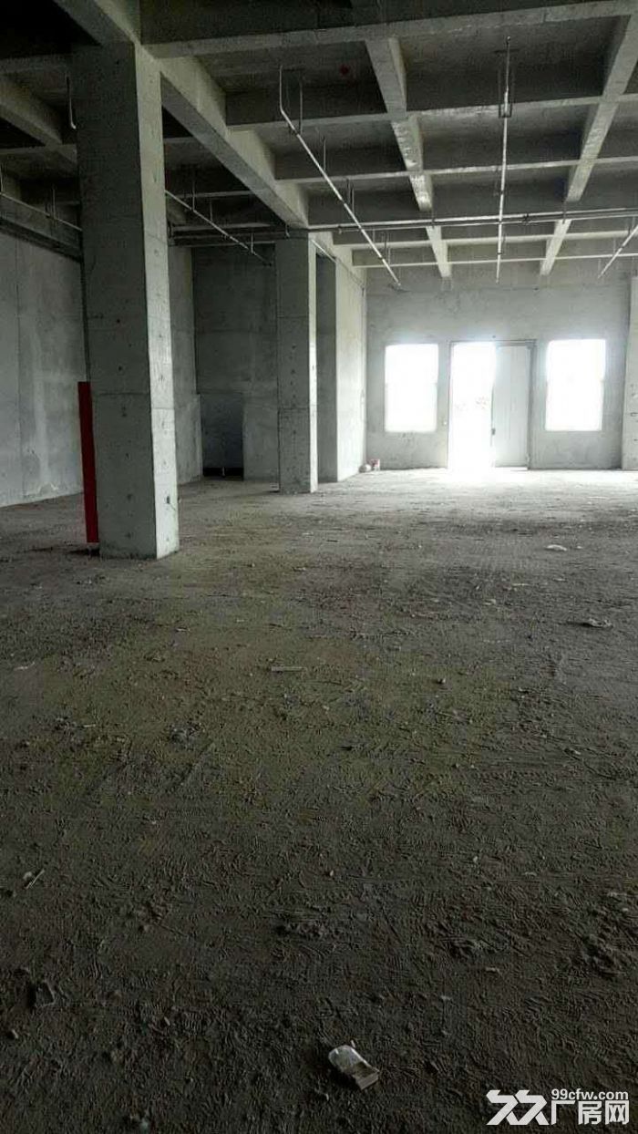 中小企业聚集元现有1100平方厂房出租-图3