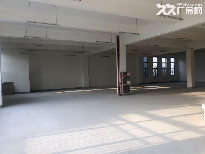 高新区草堂科技园3200平花园式厂房，租金低，位置好！-图2