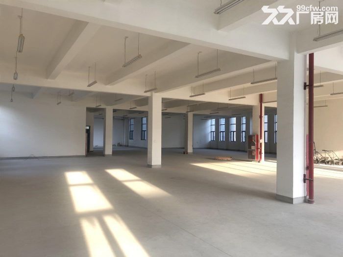 高新区草堂科技园3200平花园式厂房，租金低，位置好！-图5