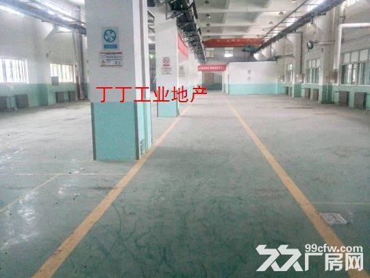 高新区管委会旁独栋1400平1层1100平办公厂房-图2