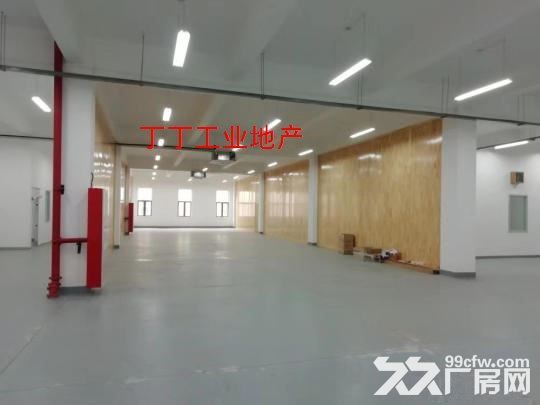 出租鄠邑区鄠邑城区企业加速器区厂房