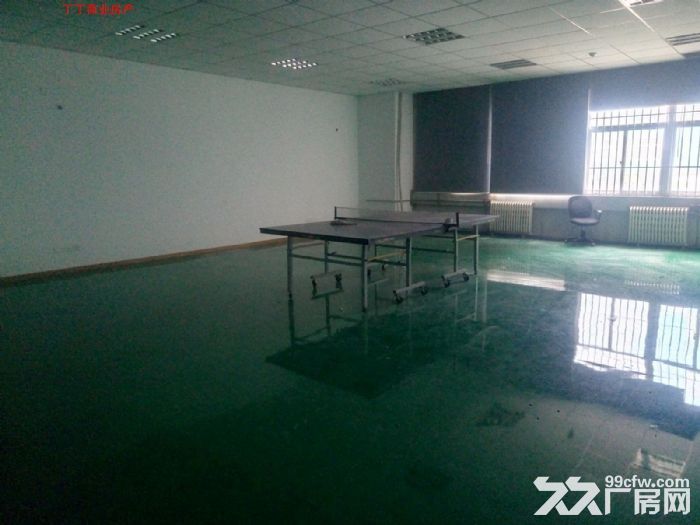 西高新创汇路标准厂房办工厂房1层1350平便宜出租-图5