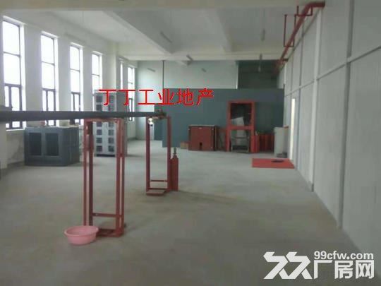 高新区草堂科技园科技企业加速器厂房独栋办公厂房3300平-图3