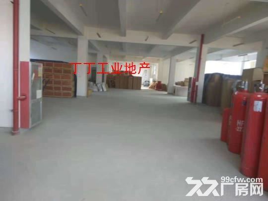 高新区草堂科技园科技企业加速器厂房独栋办公厂房3300平-图4