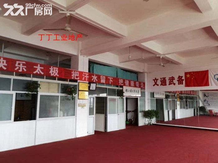 出租高新区新型工业园5层标准厂房出租