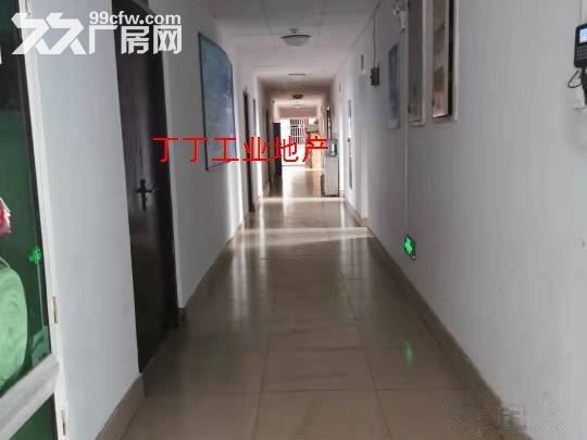 西部大道高新新型工业园房出租400平简装修便宜26元-图3