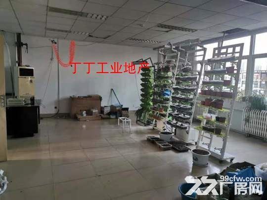 西部大道高新新型工业园房出租400平简装修便宜26元-图2