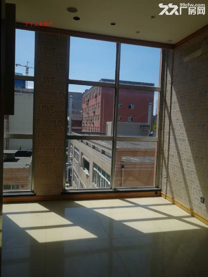 出租高新区新型工业园标准办公厂房出租1800平1000平-图2