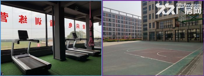 西安临潼渭北双创科技园工业厂房、商铺、超市、公寓出租-图4