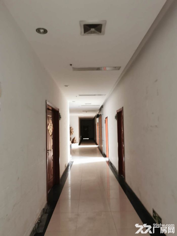 长安 标准化厂房 最后一套 788平 环评有 可实地看房-图4