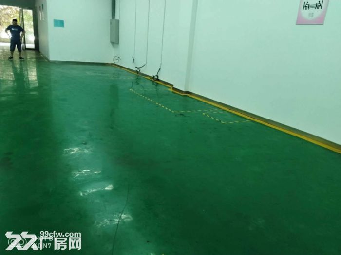 西京国际生产力大厦1层420平5层256平511平320平