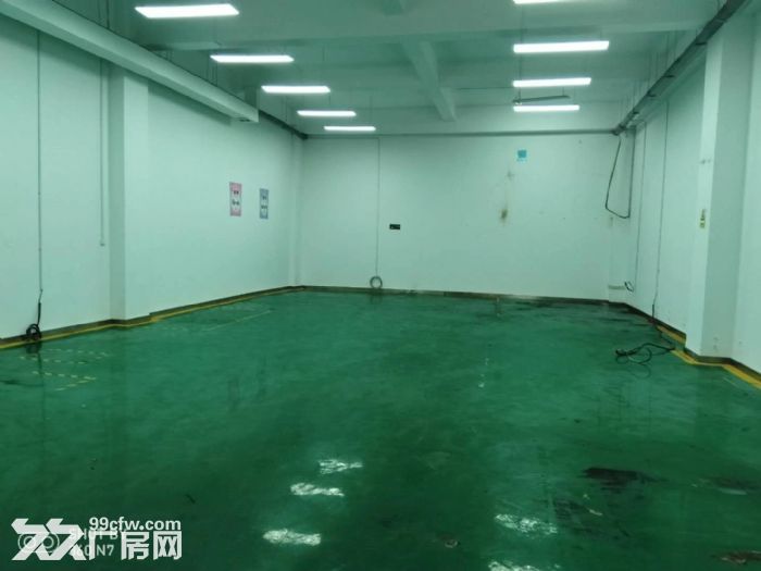 西京国际生产力大厦1层420平5层256平511平320平-图3