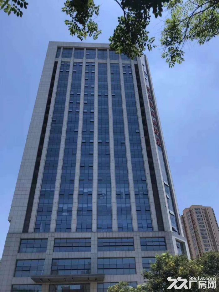 军民融合创新港 工商属高新成熟配套6号线地铁旁35元厂房-图2