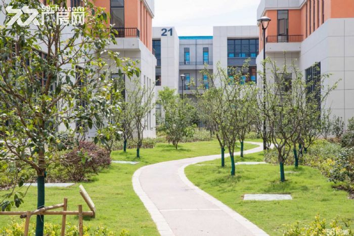 厂房出售    临空经济区   中南与政府联合开发产业园区   50年产权