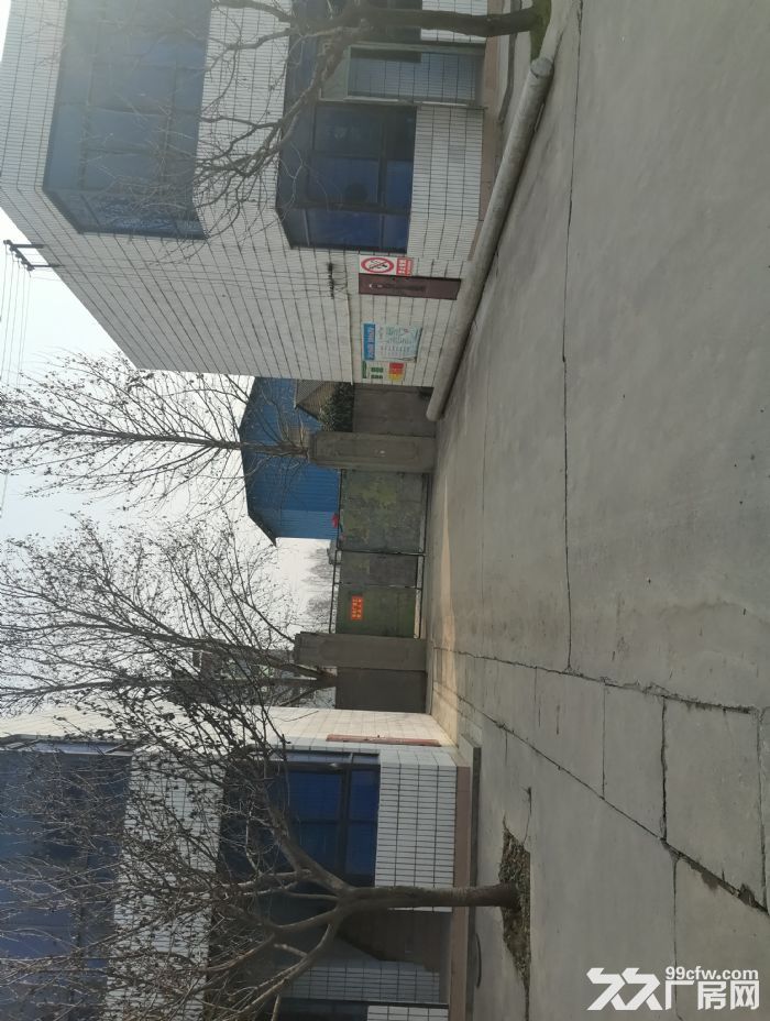 鄠邑区余下工业区有厂房出租-图4