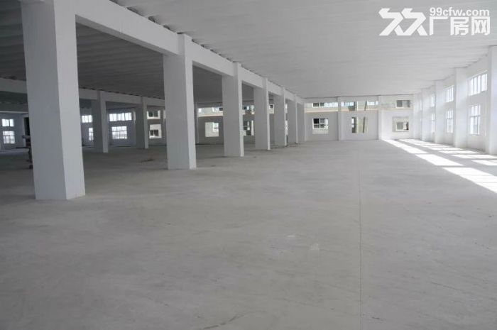 出租经开区一层大跨度厂房 办公室3600平1800平900平-图8