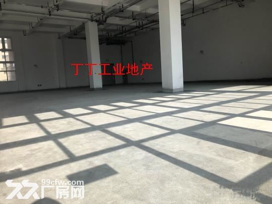 高新区西部大道一层260平厂房丰泽科技园400平