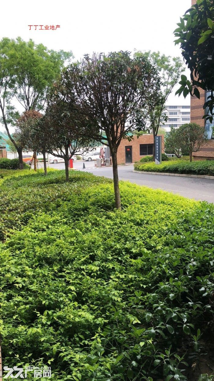 沣东新城标准工业园区政府示范工业园1000平