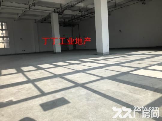 高新区西部大道一层260平400平800平厂房丰泽科技园