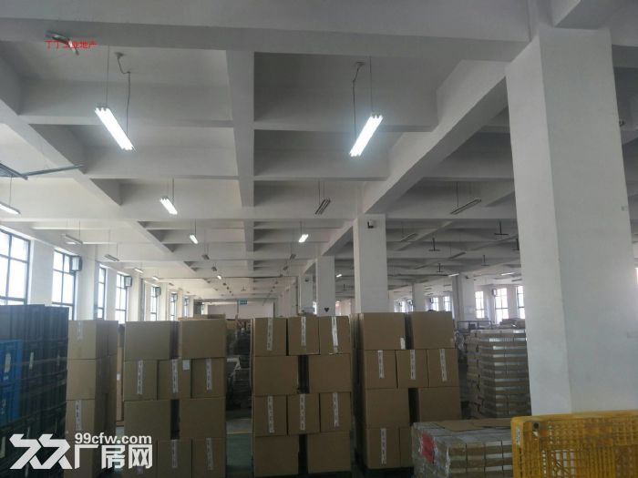 高新  独栋8000框架科研厂房出租
