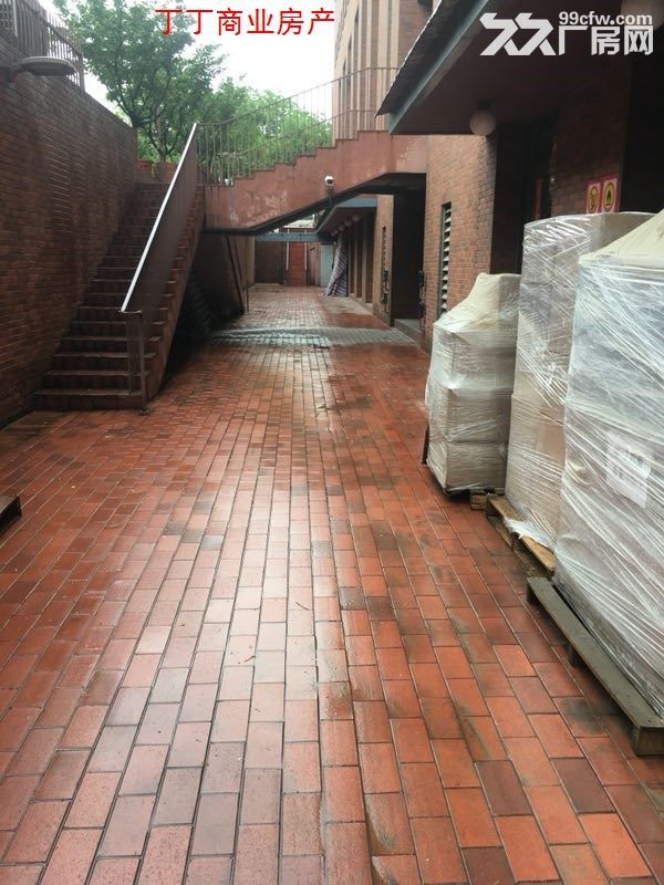 西部大道精装办公厂房1100平半地下室600平半地下室厂房出租-图2