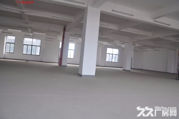 出租高新区科技企业加速器二区高新周边1800平简装修1层和2层-图5