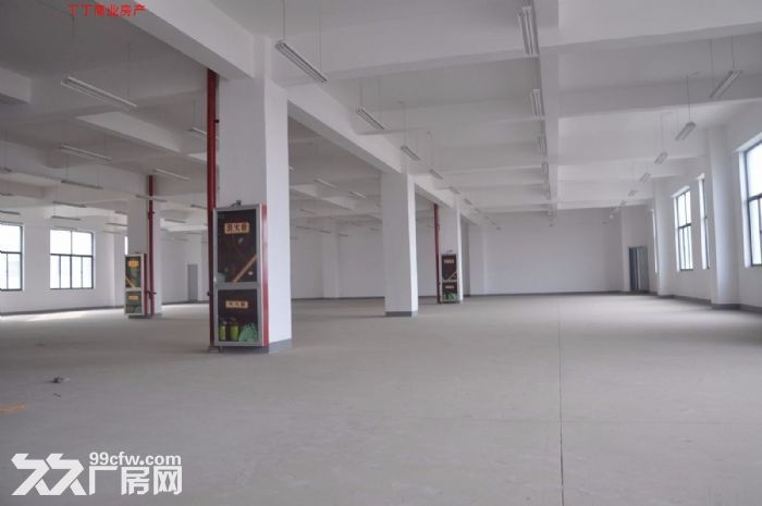 出租高新区高新周边1800平简装修1层和2层-图4