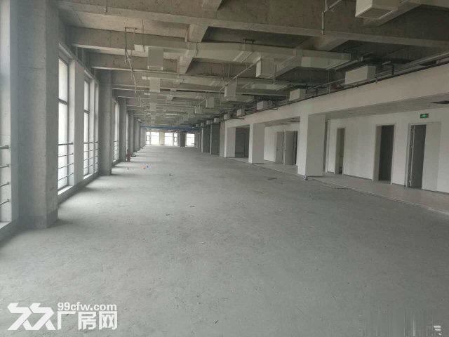 高新独栋5900框架试验检测厂房出租-图4