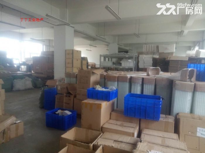 科技路东口办公/厂房 260平300平740平米