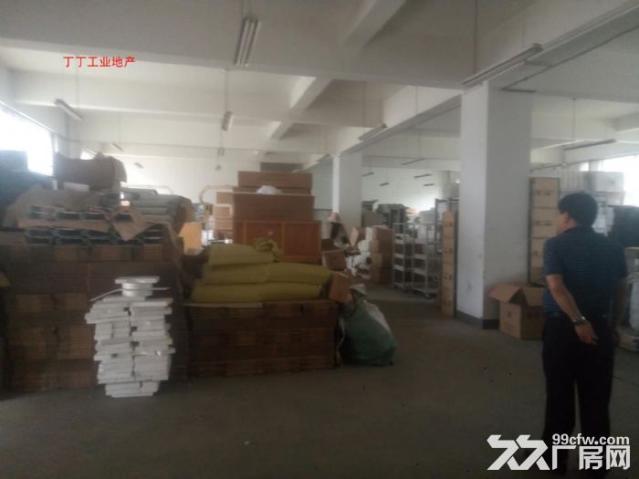 科技路东口办公/厂房 260平300平740平米-图2