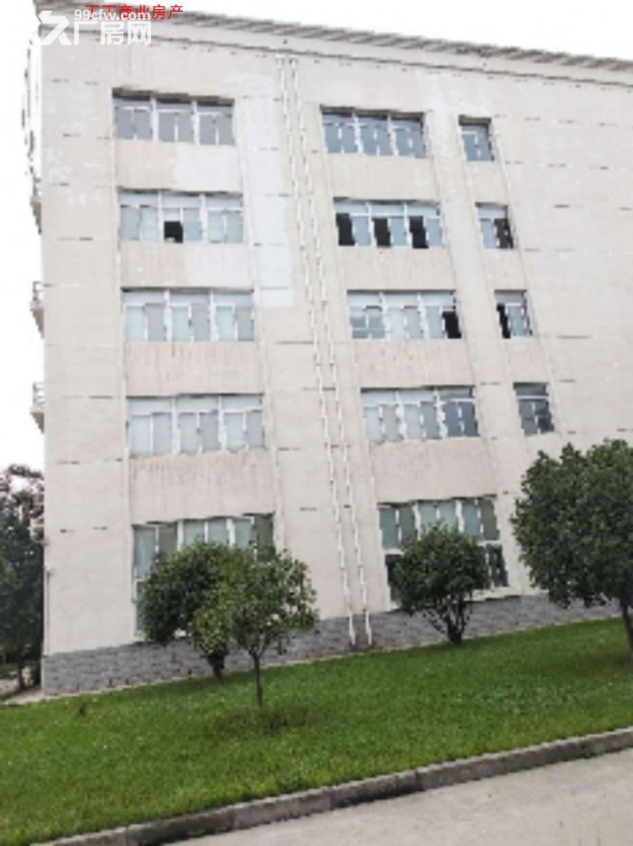高新区西部大道4100平厂房独栋标准科研办公 厂房-图2