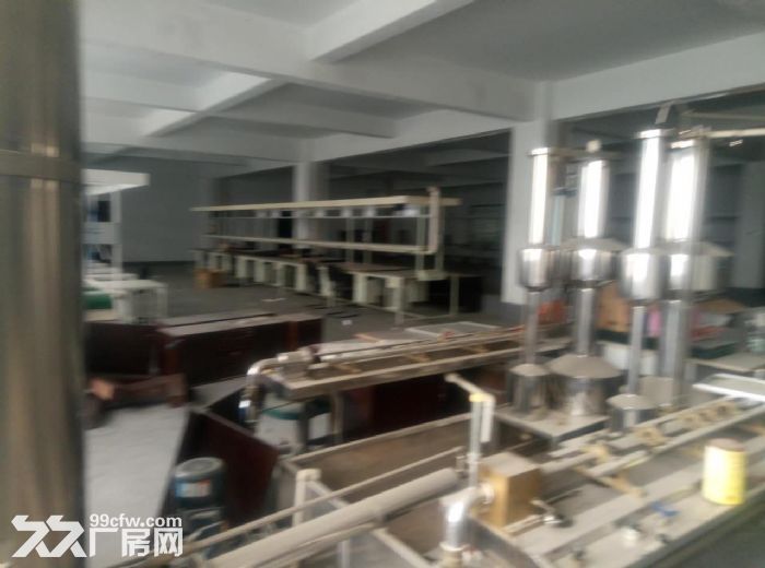 锦业二路厂房标准厂房4000平1070平1300平600平厂房便宜出租带食堂宿舍-图5
