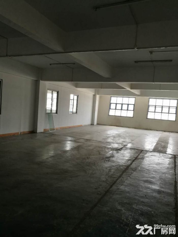 锦业路办公楼厂房出租，带院子有充足的车位4000平1层有800平可以分割-图7