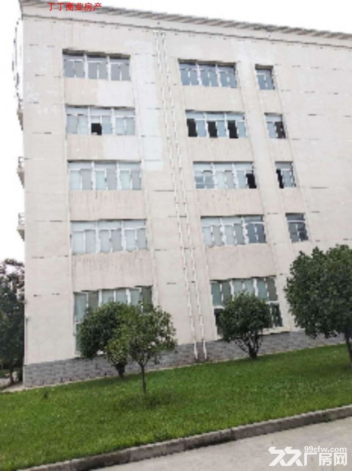 高新区西部大道4100平厂房独栋标准科研办公厂房-图2