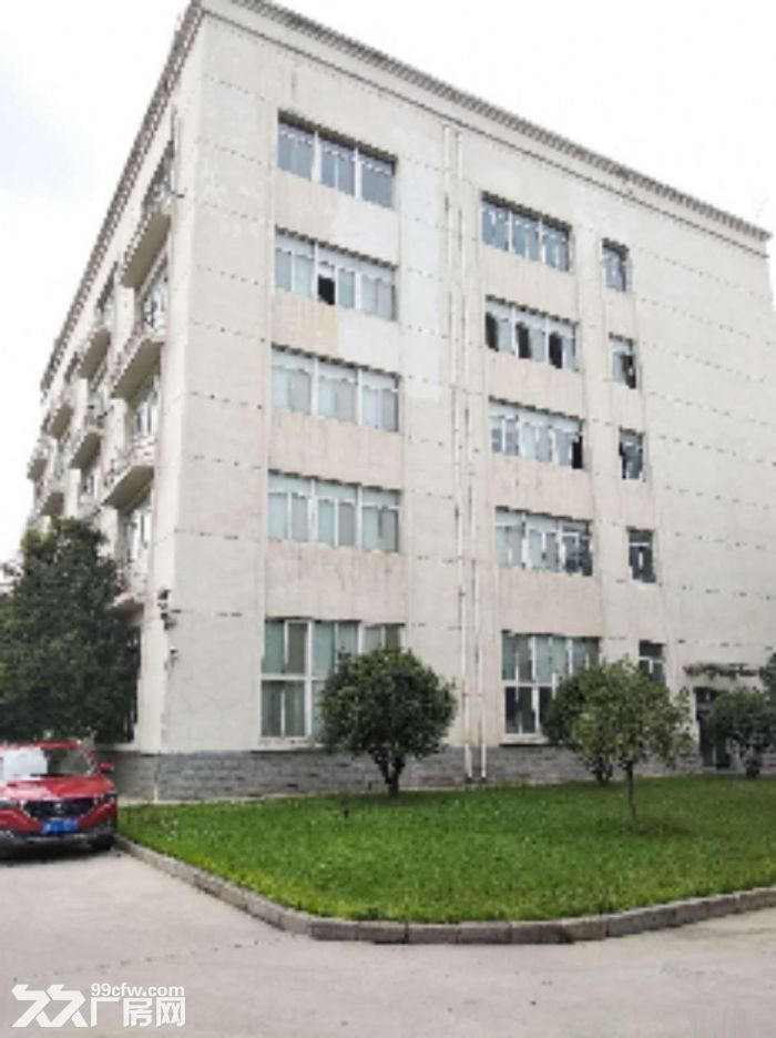 高新区西部大道4100平厂房独栋标准科研办公厂房-图3