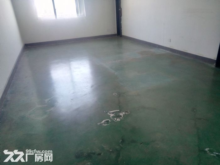 高新西部大道标准厂房1层1600平钢结构，还有3层框架结构的厂房每层1100平-图2