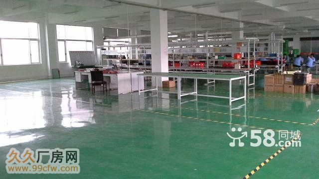 高新独栋3600㎡科研组装办公厂房-图3