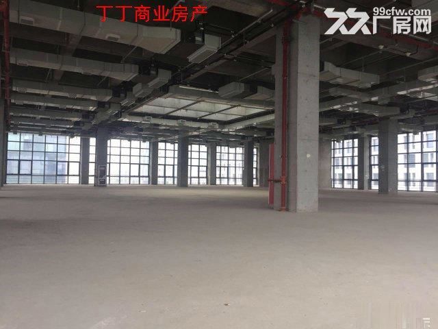 高新独栋5900框架试验检测厂房出租