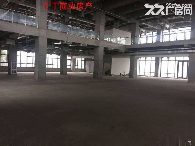 高新独栋5900框架试验检测厂房出租-图2