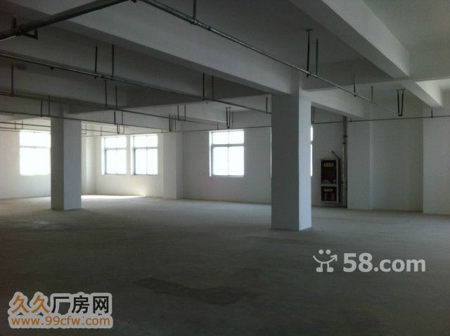 高新科技园   框架1楼120-图3