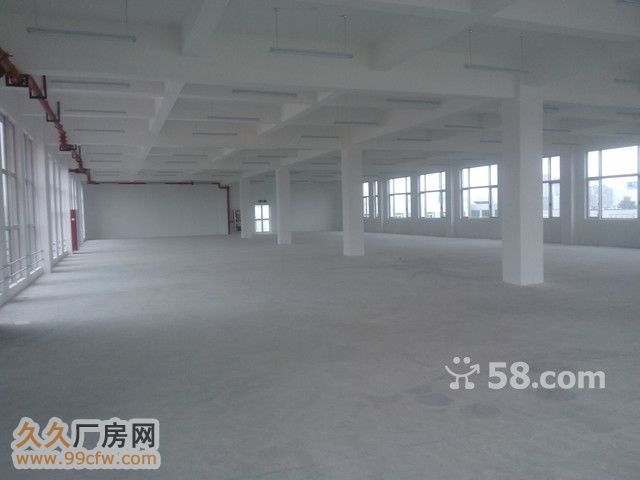 高新管委会旁  1580㎡ 整
