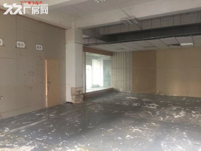 出租高新区多套大平层 可分租各楼层都有